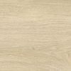HARU ALMOND 20 X 120