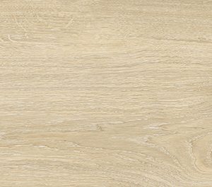 HARU ALMOND 20 X 120