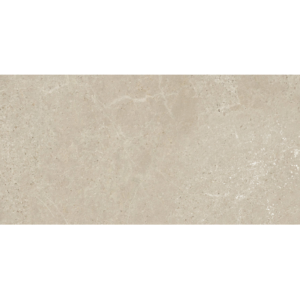 COSMO TAUPE 60X120 NEWKER