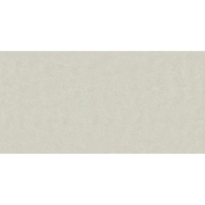 LAND IVORY 75X150 DE NEWKER