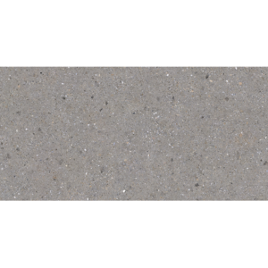 BERGEN GREY 30X60 NEWKER