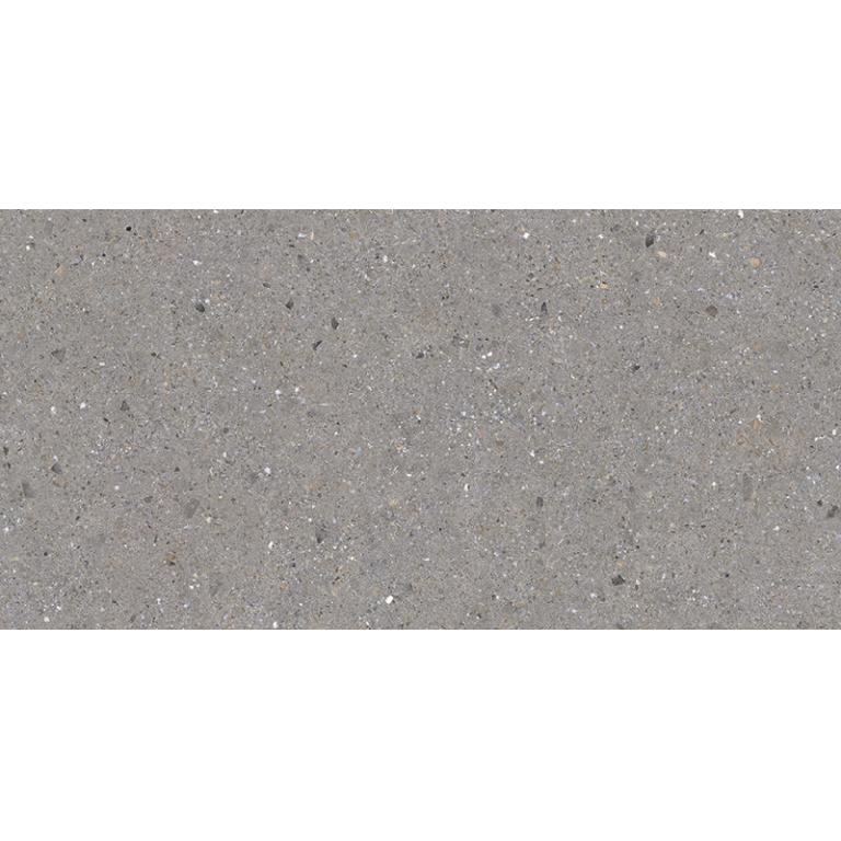 BERGEN GREY 30X60 NEWKER