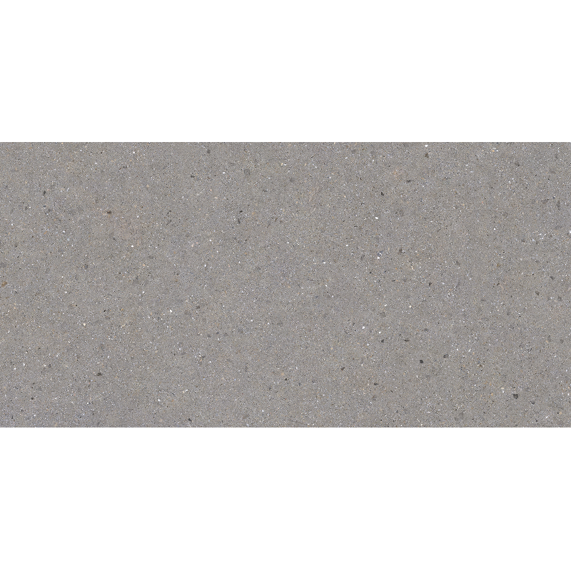 BERGEN GREY 60X120 NEWKER