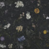 SPACE DECOR NANOTECH BLACK 60X120 NEWKER