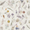 SPACE DECOR NANOTECH WHITE 60X120 NEWKER