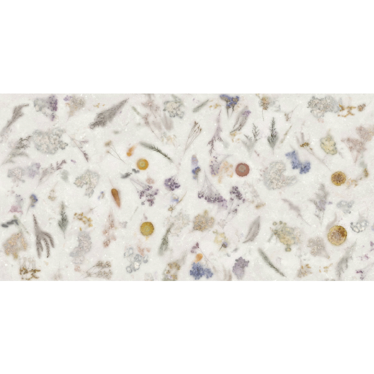 SPACE DECOR NANOTECH WHITE 60X120 NEWKER