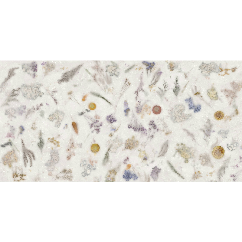 SPACE DECOR NANOTECH WHITE 60X120 NEWKER