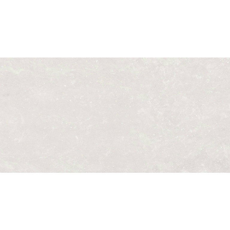 SPACE NANOTECH WHITE 60X120 NEWKER