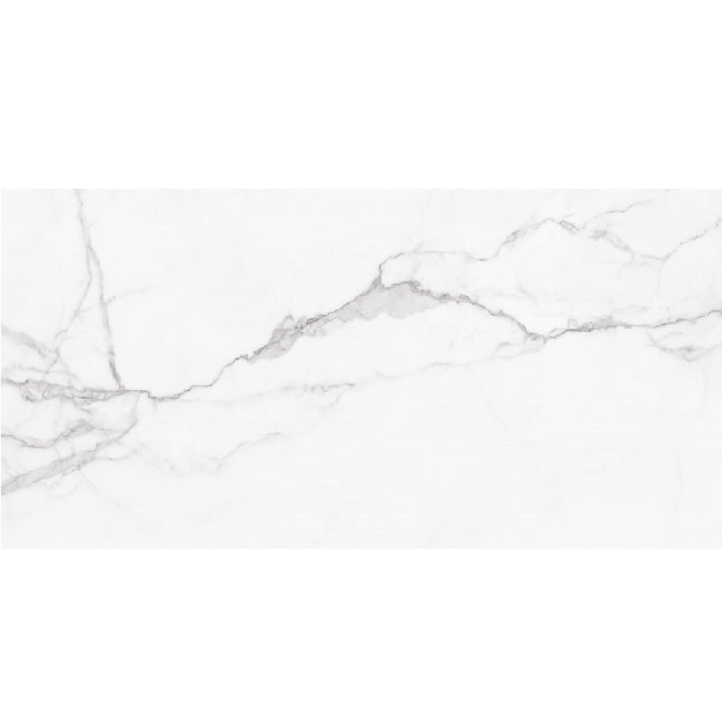 ANIMA BRILLO 60X120